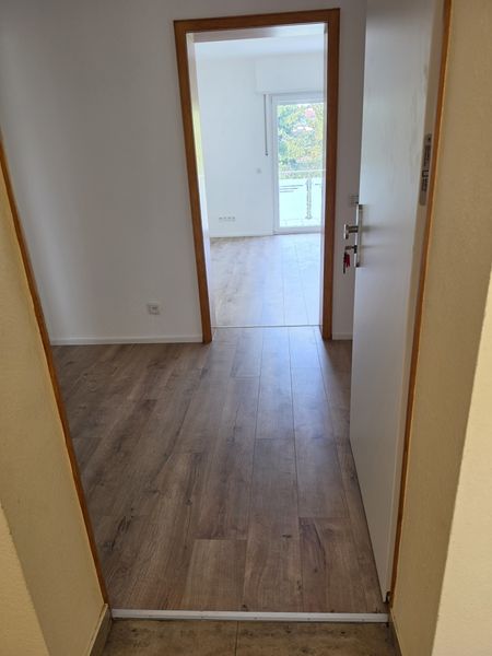 Tolle  4 Zimmer Wohnung in Heidelberg  /  Handschuhsheim in bester  ruhiger Lage mit großem Balkon 